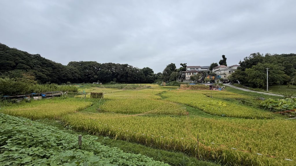 現地を歩いて見えてきた民話の背景