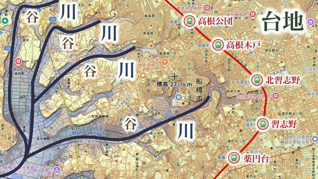 クネクネしてる本当の理由は「地形」?