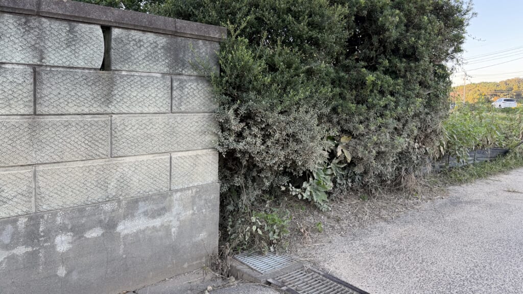 なぜ大網ではそんな場所に家を建てるのか